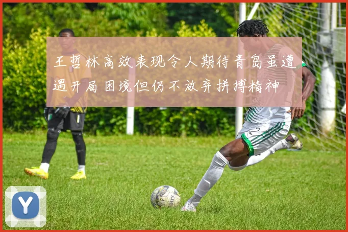 王哲林高效表现令人期待青岛虽遭遇开局困境但仍不放弃拼搏精神