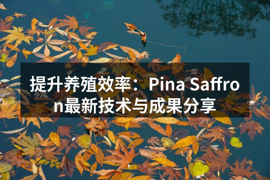 提升养殖效率：Pina Saffron最新技术与成果分享